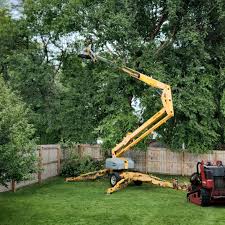 Best Fruit Tree Pruning  in Walnut, IL