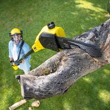 Best Lawn Pest Prevention  in Walnut, IL